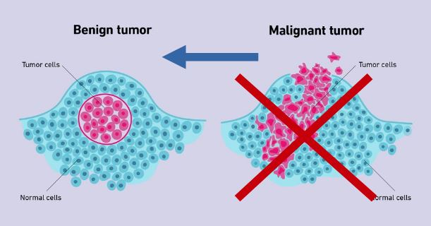 Human Evolution Re-Engineered (reserved news item)